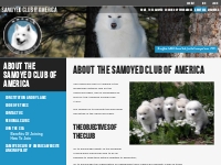 About the Samoyed Club of America - Samoyed Club of America