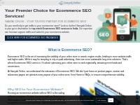 eCommerce SEO packages, eCommerce SEO Company, eCommerce SEO Services