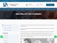  Hastelloy C22 Flanges