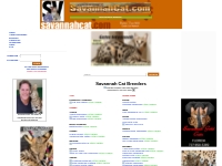 Savannah Cat Breeders - Savannah Cats, Bengal Cats For Sale