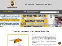 Edmonton Fruit Flies Exterminator | Top-Rated Pest Control ▲