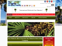 Find Saw Palmetto Pills and other Products| Saw Palmetto