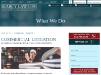 Florida Commercial Litigation Attorney | Searcy Denney