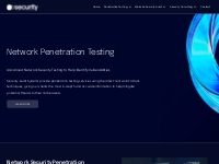 Network Security Penetration Testing Services