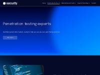 Penetration Testing Services   Security Audit Systems