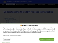 Understanding the STDP Process in Marketing