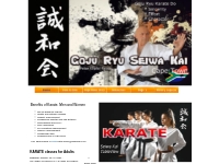 karate classes Tableview and Parklands Cape Town  South Africa . Begin