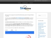 Consulenza SEO e Web Marketing Varese Como Svizzera Milano Come -