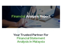 Financial Statement Analysis Services in Malaysia | Servnetic
