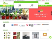 Online plant nursery with best price - Setgreen | Hyderabad
