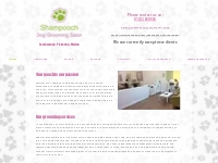 Shampooch Dog Grooming Salon, Scarborough