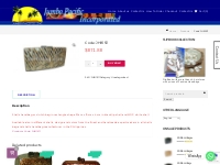 Code: JHB1511 - Shells Clutch Bag Collection