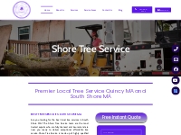 Tree Service South Shore | Fast Service | Affordable Tree Service