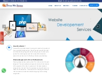 Website Designing Company in North Delhi, Gurgaon, Noida, India | Webs