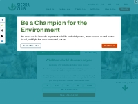 Ways to Give | Sierra Club