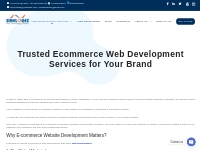 Trusted Ecommerce Web Development Services for Your Brand