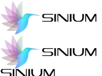 Sinium - Design / Digital Marketing / Automation