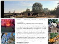 Sissi Dreamstables: Dagbesteding Middelburg, Zeeland, Paardrijden, ICT