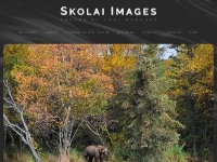 Stock Alaska Photos | Stock Nature Photos | Nature Stock Ima | Carl Do