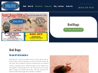 Bed Bug Extermination Orange County CA