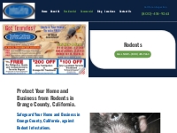 Rodent Control   Extermination Orange County, CA