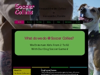 Dog Soccer Games | Soccer Collies