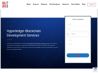 Hyperledger Blockchain Development Company in USA