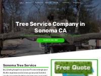       Tree Services | Tree Removal in Sonoma CA