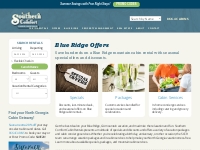 Offers   Deals - Blue Ridge, GA | Southern Comfort Cabin Rentals