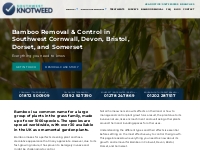                                                    Bamboo Removal   Co