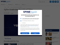Spine Anatomy Overview Video | Spine-health