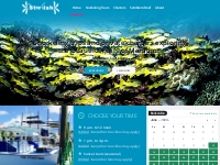 Marathon Snorkeling Tours - Marathon Snorkel Tours