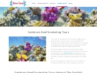 Sombrero Reef Snorkeling Tours - Sombrero Reef Snorkel Tours