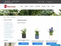 High End Artificial Succulents from China Supplier - Sharetrade