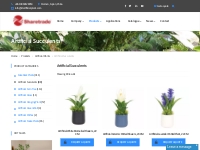 High End Artificial Succulents from China Supplier - Sharetrade