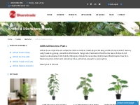 Custom Artificial Monstera Plant Maker China - Sharetrade