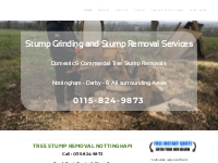 Tree Stump Removal Nottingham, Stump Grinding