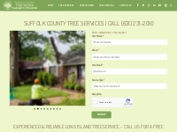 Tree Service   Tree Removal In Long Island, NY | Suffolk Tree Services