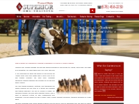 Superior Dog Training Atlanta, Ga - Obedience Dog Trainers in Georgia 