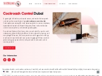 Cockroach Ants Pest Control in Silicon, Palm Jumeirah, Dubai Marina - 