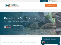 Rats and Rat Control - Surekill