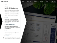 Digital Marketing Services | Synapse Marketing Solutions