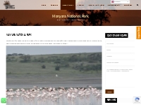 Manyara National Park - Tanzania Parks Adventure