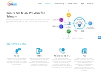 Secure SIP Trunk Provider | Telerain