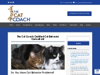 The Cat Coach | Cat Behaviorist | Cat Training by Marilyn Krieger