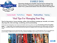 VITAL TIPS FOR MANAGING YOUR DOG | TheDogPlace.org