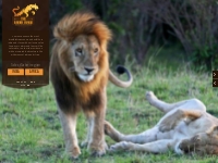 Best African Safari   Indian Tiger Safari