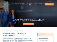 Contingency Lawyer for Employment | The Friedmann Firm