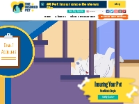 Best Pet Insurance | Most Affordable Pet Insurance - The Insured Pet