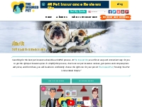 Best Pet Insurance | Manhattan, NY - The Insured Pet